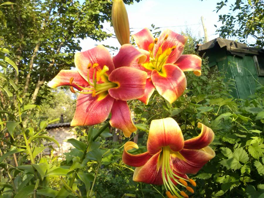 CAM02510
