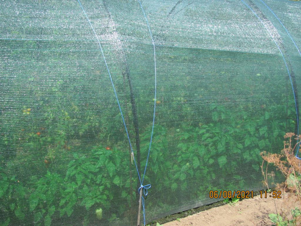 IMG 2159[1]