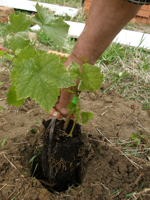 P4300009