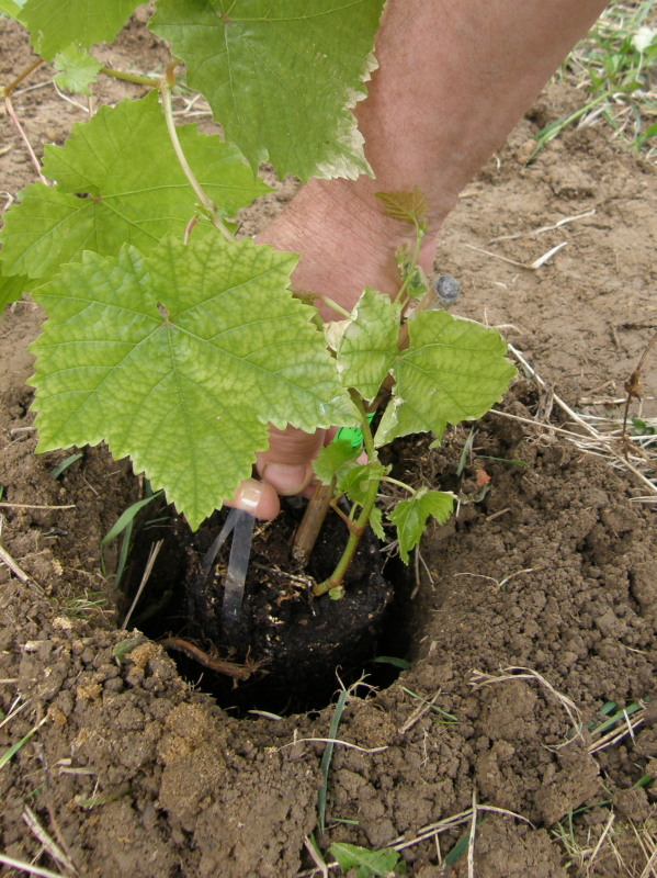 P4300010