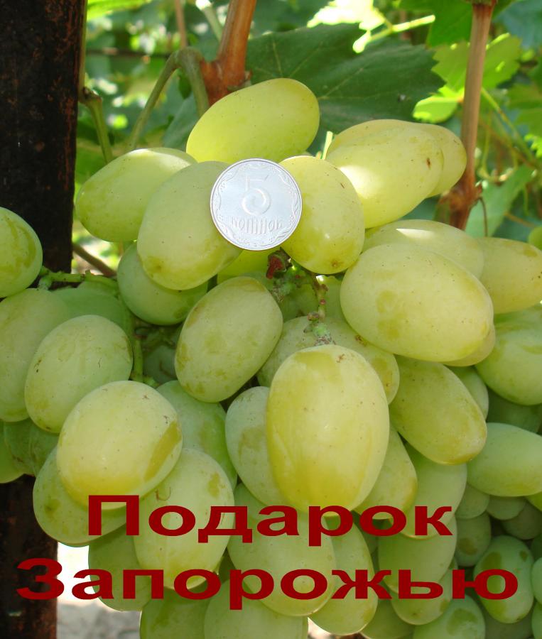 DSC01380