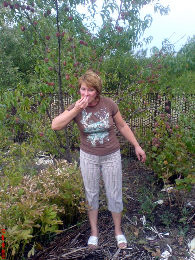 2008 .   .