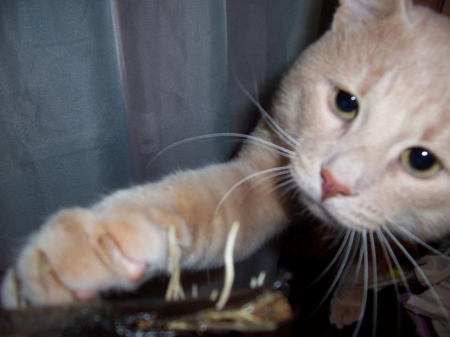 ˸      