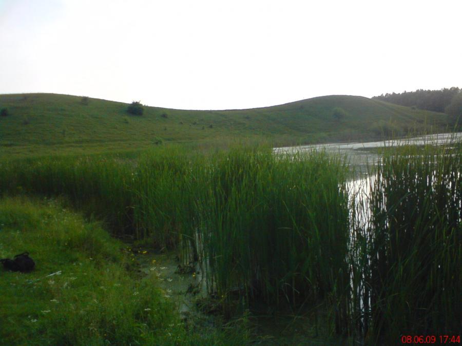 DSC00322