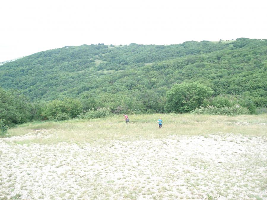  2010 018 