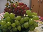 IMG 3051