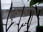 P2210005