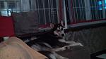 IMG 20160209 211757