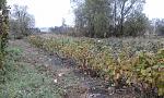 20161009 115406