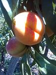 IMG 20170727 141904