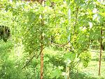 PICT2403                                     
           