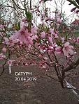 IMG 00130fc5b6e7d2b9cad066b7dac975f5 V