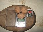 IMG 3419