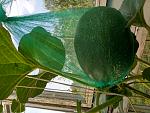 IMG 20210711