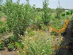 IMG 2149[1]  