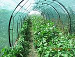 IMG 2143[1]  