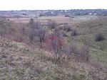 IMG 0545